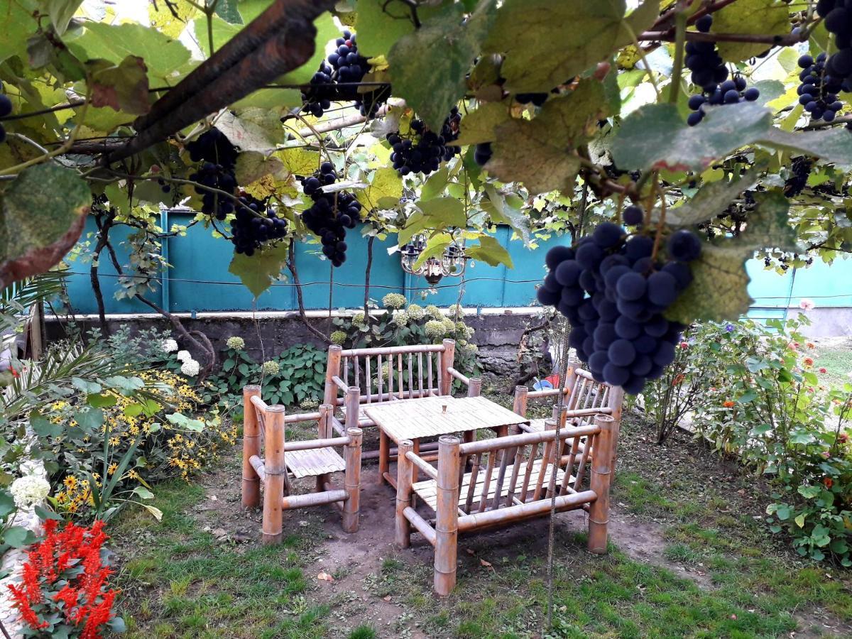 Holiday Home Borjomi Luaran gambar