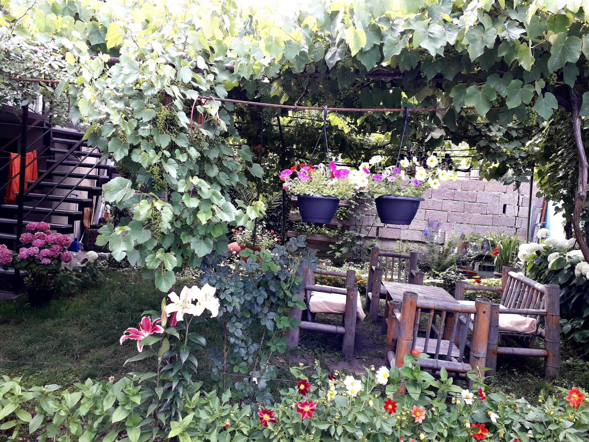 Holiday Home Borjomi Luaran gambar